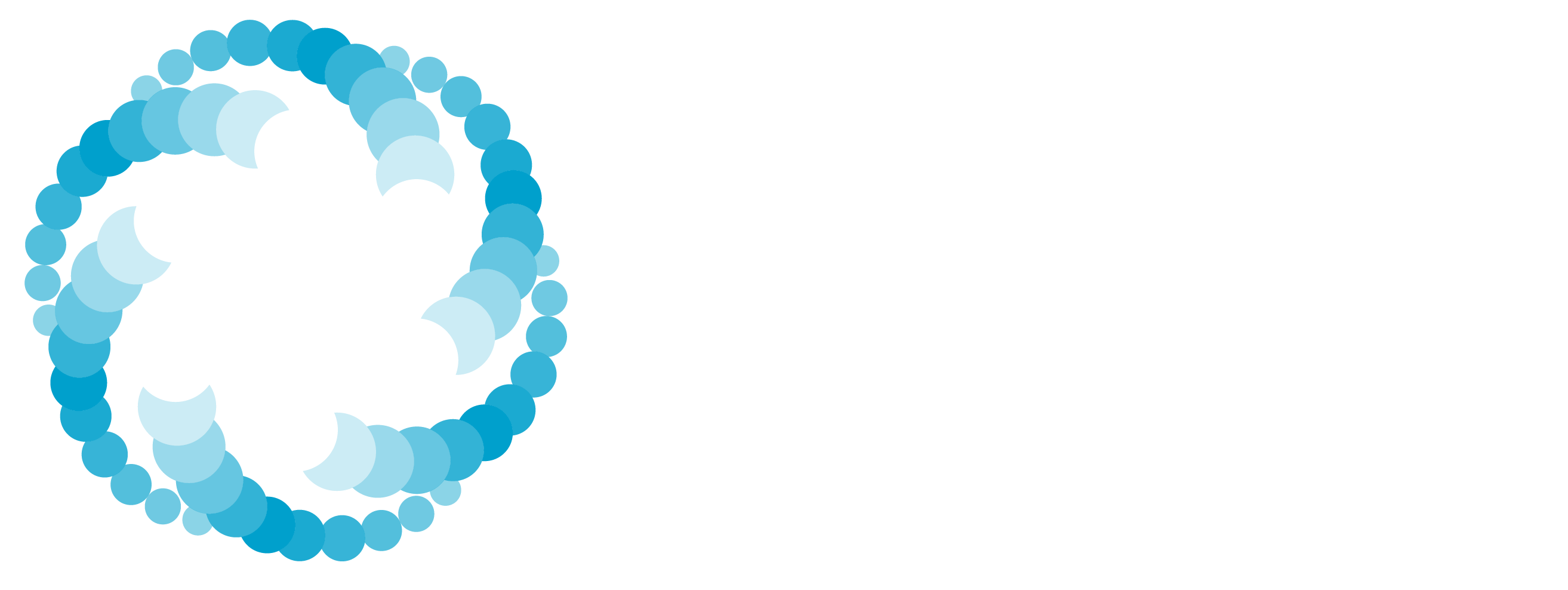 OSE Logo 26 Dark Background