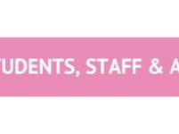 A pink banner with lightbulb cog graphic