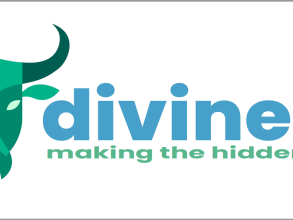 divine ox