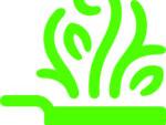 Maymessy Logo