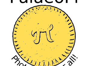 PalaeoPi Ltd. Logo