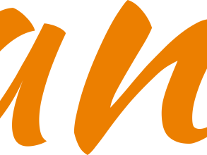 vann logo
